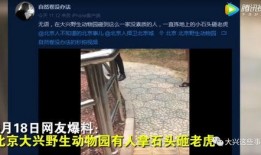 网友爆料游人扔石子视频,景区环境堪忧
