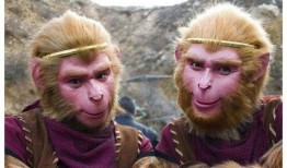 六二猕猴爆料是真的吗视频