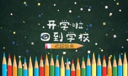 开学爆料的视频素材,揭秘校园生活新篇章