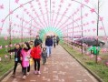 风车最新爆料,揭秘神秘项目背后的秘密与未来展望