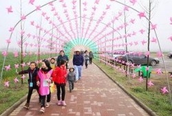 风车最新爆料,揭秘神秘项目背后的秘密与未来展望