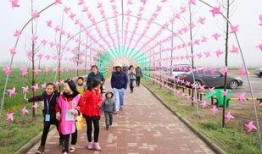 风车最新爆料,揭秘神秘项目背后的秘密与未来展望