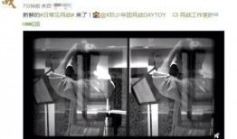 工作室最新爆料,工作室最新爆料，带你一探究竟！