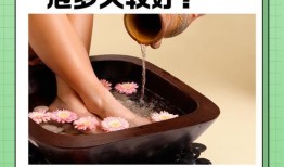 足浴新人爆料视频大全,新人爆料视频大全深度解析