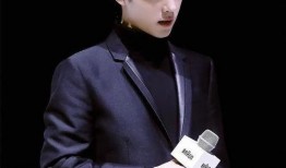 肖战最新资讯爆料,揭秘近期热点事件背后的真相