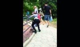 网友爆料游人扔石子视频,景区环境堪忧