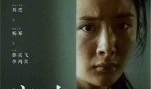 杨幂娱乐八卦爆料郑恺,揭秘背后真相与情感纠葛