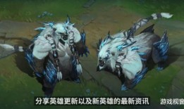 狗熊皮肤爆料视频,揭秘神秘皮肤背后的故事