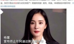 新疆明星爆料视频最新一期,揭秘明星幕后故事，最新一期精彩内容抢先看