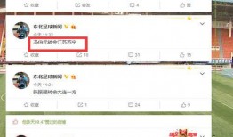 东北_新闻爆料,揭秘当地热点事件背后的真相