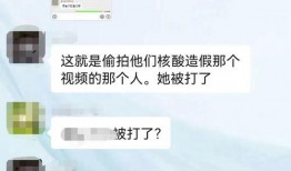 核酸作假爆料视频下载,下载背后的真相与争议