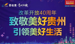 贵州碧桂园员工爆料视频,揭露惊人内幕