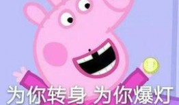 郑州爆料微信号大全最新