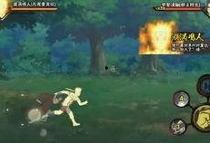 九尾最新爆料视频大全在线观看,精彩瞬间一网打尽