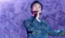李玉刚爆料歌曲视频,歌曲背后的故事与情感