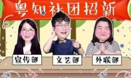 三代雷影大招爆料视频大全,视频大全深度解析
