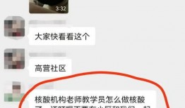 核酸作假爆料视频下载,下载背后的真相与争议