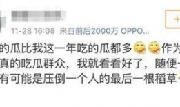 上进娱乐吃瓜群众,揭秘吃瓜群众的狂欢盛宴