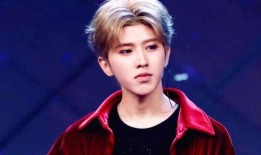 爆料蔡徐坤杨颖视频下载,下载风波引发热议