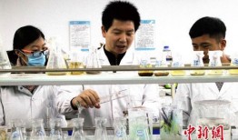 青海大学爆料新闻,揭秘校园风云事件背后的真相