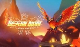 常州老鹰爆料视频大全,揭秘城市生活百态