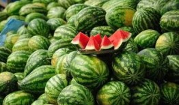 长兴网红吃瓜事件真相,真相背后的网络风波