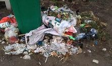 网友爆料游人扔石子视频,景区环境堪忧