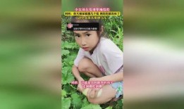 吃瓜姑娘小说在线阅读免费,揭秘娱乐圈背后的秘密