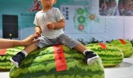 吃瓜群众网红,揭秘网络红人的幕后生活