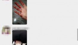 核酸作假爆料视频下载,下载背后的真相与争议