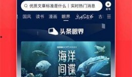 今日头条新闻爆料在哪,揭秘某神秘事件背后真相