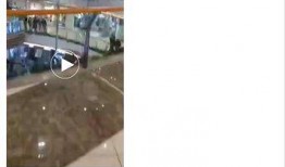 网友爆料坠楼视频真实事件,坠楼视频揭示的真实悲剧事件