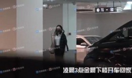 金晨最近爆料新闻,揭秘娱乐圈不为人知的幕后真相