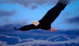 常州老鹰爆料视频大全,揭秘城市生活百态