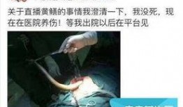 黄鳝门完整在线观看,揭秘网络直播背后的惊悚真相