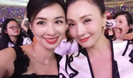 张婷爆料陶虹视频大全集,张婷揭露娱乐圈惊人内幕