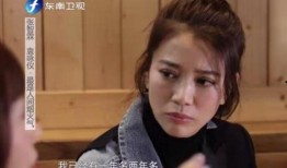 天涯爆料袁咏仪视频,天涯爆料背后的真相与争议