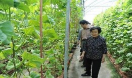 衡水吃瓜最新事件爆料是真的吗,最新爆料真相揭秘