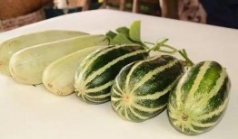 娱乐吃瓜718网红瓜,娱乐吃瓜盛宴，揭秘网红圈幕后故事