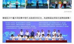 黄陂最新爆料新闻,揭秘XX事件背后真相