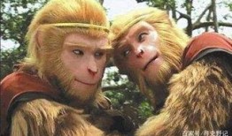 六二猕猴爆料是真的吗视频