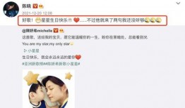 爆料大叔小星星视频,一场令人惊叹的爆料盛宴