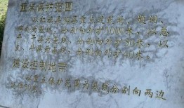 太空行动新船员爆料视频,独家爆料视频带你探秘神秘太空行动