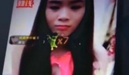 东北水仙二嫂在线观看,在线观看，感受东北风情与民间智慧