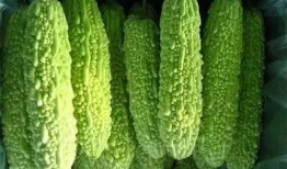 广西南宁吃瓜网红是谁,揭秘广西南宁吃瓜一哥的传奇人生”