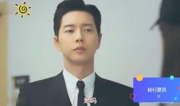 秘行要员在线观看免费,潜行暗战，揭秘特工世界