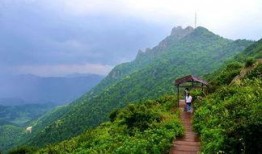 蚁岭 在线观看,探寻神秘昆虫世界的奇幻之旅