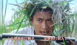 青谷子 在线观看,在线观看，探寻青春记忆的奇幻之旅