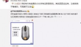 小宝茶装备爆料视频播放,一窥未来茶饮潮流
