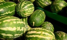 长兴网红吃瓜事件真相,真相背后的网络风波